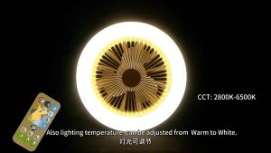 Fan Light Bedroom Silent Ceiling Fan Lamp LED White Light Bedroom Night Light Ceiling Fan With light With remote control