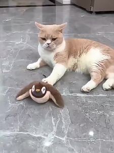 Smart Electric Flapping Bird Cat Toy USB Rechargeable Touch Activated Squeaky Interactive Plush Kitten Kicker With Catnip Teaser