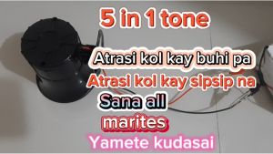 5in1 tone Backhorn / Horn 12-24V