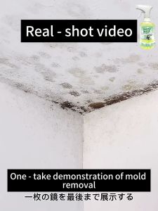 [24 hours delivery] 2025 NEW mold remover spray 500ml Japan joint development mold removal rate 99.99% mold remover for wall anti mould spray wall mold remover wall cleaner 除霉菌喷雾