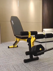 Multifunction Dumbbell Bench DB-B05 Foldable Weight Stool Leg Extension Curl Machine Lifting Abs Flat Incline Upright