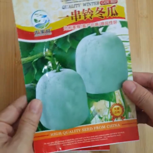 (Hạt nhập khẩu) Bí đao tròn Tứ Xuyên hạt giống nội địa Trung đóng gói rõ ràng