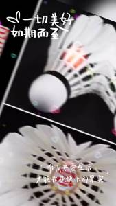 Penghantaran dari China [2025]DHS/ Badminton Kebahagiaan Berganda Merah 402 Bulu Angsa 12 Hanya untuk Dewasa Lelaki dan Wanita Latihan Pertandingan Tahan Lama Keaan Rumah 4013.5