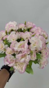 Bunga Carnation Mini Cabang 5 Anyelir Pom-Pom artificial untuk dekorasi wedding atau dekorasi pelaminan dan dekorasi rumah Import hiasan premium termurah artifisial palsu