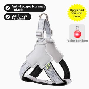 7o | No Choke Walking Dog Leash