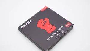 Ramsta S800 2.5" SATA III SSD 256GB/512GB/1TB & 2TB Storage Capacity