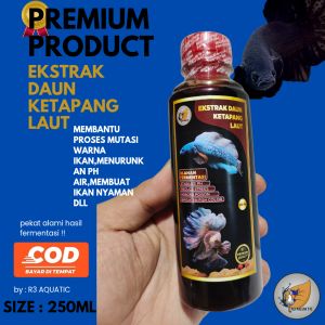 Ekstrak Daun Ketapang Laut Premium Pekat Sudah Olah Proses Fermentasi 250ml
