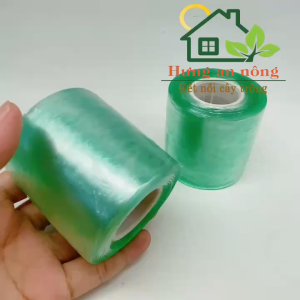 Băng keo ghép cành tự dính chất liệu nhựa PE bản 3cm 6cm 10cm