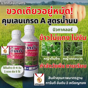 ยาคุมเลน ชัตก้า บิวทาคลอร์ เกรดA หญ้า เกลี้ยงนา ใช้แล้วไม่ผิดหวัง 1 ลิตร