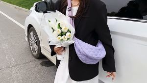 Homer Angela Nylon Sling Bag for Women Dumpling Bag for Ladies