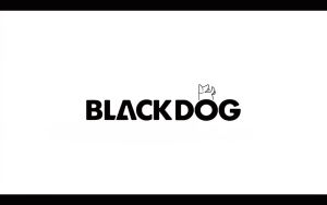BLACKDOG Star 5.9 Automatic Tent Black