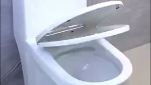 Toilet Seat Cover Standard Size Type High Quality V/O Type Bathroom Toilet Seats Sit Cover