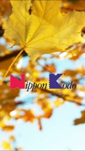 [Nippon Kodo] Kayuragi Osmanthus 40 Sticks | Incense Expertly Crafted In Japan