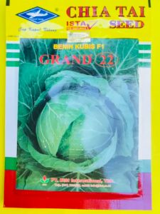Benih Kubis Hibrida F1 GRAND 22 isi 15gram dari CAP KAPAL TERBANG MANTAB