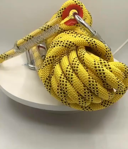 10mm Diameter Thick Safety Rope Climbing Rappelling Rescue Escape 20m with Carabiners