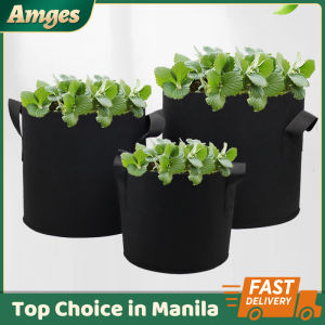 Fabric Grow Bags & Breathable Pots: The Eco-Friendly Planter Container Solution