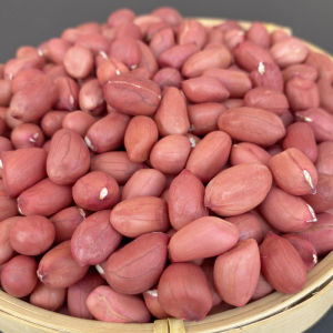 Farmhouse Original Flavor Small Red Skin Peanuts New Stock Can Be Used with White Eyebrow Beans for Soup And Porridge