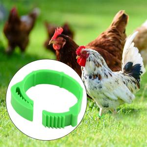 100 pcs Tanda Unggas Gesper Cincin Kaki Unggas/Poultry Foot Ring