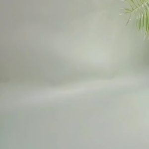 [ YM ACC ] Sikat Gigi Japan Nano Tech Bulu Micro Extra Soft / Sikat Gigi + Wadah Cocok Untuk Travel Mulut