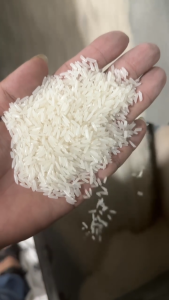 Gạo Thơm Lài Bịch 5Kg  - Thiên Long Rice Cơm Trắng Dẻo Vừa Ngọt Cơm