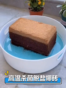 Imported compressed nutrient-rich coconut coir bricks Desalinated sterile succulent potting mix Universal coconut husk bricks