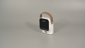 RONGTA R22A/B Portable label printer with Bluetooth connection no ink needed portable batch printing kitchen checklist cookies label.