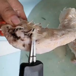 Electric chicken duck and goose plucking machine plucking duck hair magic new multi-functional automatic poultry plucking machine