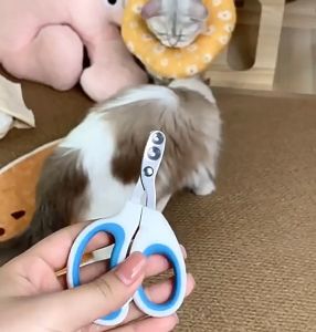 Kìm cắt móng cho Chó Mèo nhỏ dưới 4kg có lỗ cố định móng an toàn (mẫu mới) - Hara Pet Store