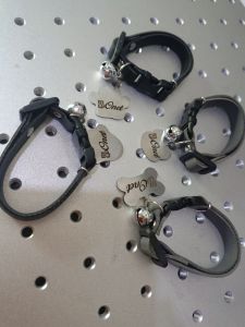 kalung nama buat peliharaan +lonceng