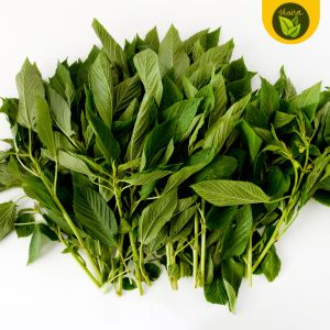 100 seeds for planting binhi pantanim saluyot green leafy vegetable