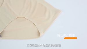 Glen Cos Ice Silk Comfort Seamless Brief Panties - Breathable Nylon & Spandex Intimate Underwear