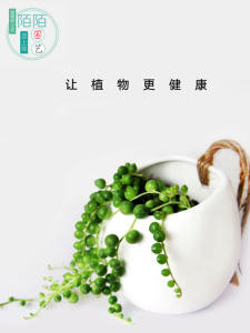 Bình Hoa Treo Trang Trí Nhà Bằng Gốm Trắng Đơn Giản Cho Cây Cỏ Treo Và Hoa Cactus