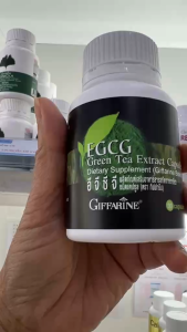 (ส่งฟรี) ชาเขียวแคปซูล ชาเขียวสกัด อีจีซีจี กิฟฟารีน เร่งการเผาพลาญ ลดไขมัน EGCG GIFFARINE ควบคุมน้ำหนัก