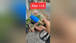 Béc Cao Áp Xoáy Nước 360 Độ Ren 1/4 - Béc Xịt Rửa Cao Áp Chịu Áp Lực 3600psi-4000psi 030