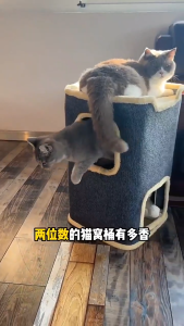 บ้านแมว หลุมแมว กันรอยขีดข่วน และ ทนทานต่อการสึกหรอ รังแมว 3 ชั้น ทำจากผ้าสักหลาด Cat Nest