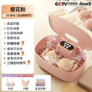 Small Home Use Ultraviolet Light Underwear Sanitizer Box Intimate Clothing Drying Machine Disinfectant Device Personal Hygiene