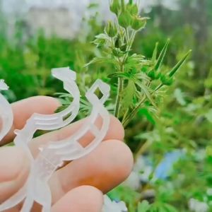 C0F0E. 50/100PCS Reusable Plastic Plant Support Clips /Vegetables Fixing Clips/ Grafting Tools Suitable For Tomato Cucumber Squash Vine Flowers Gardening Supplies Grafting Fixing Tool .