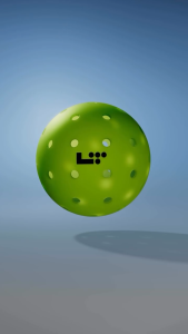 [ORIGINAL] LifeTime LT Pro 48 Indoor Outdoor Pickleball