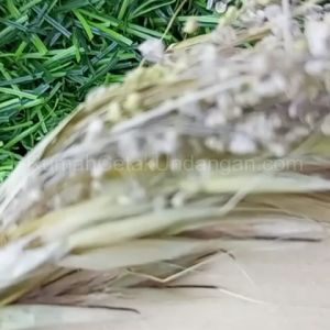 [50pcs - RCU021] Undangan Pernikahan / Khitanan Thema Black Gold Maroon Gold Navy Gold Murah