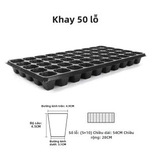 XINFANGCHENG | Khay Ươm Hạt