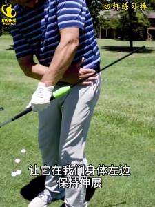 Swing Perfect | Swing Correction Training Stick