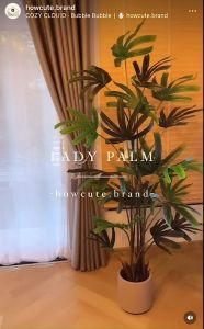 [Size75พร้อมส่ง/อื่นๆPRE14วันค่ะ]🌿LADY PALM TREE (ต้นจั๋งญี่ปุ่น) ต้นประดิษฐ์งานเหมือนจริง ปาล์มใบเหลี่ยมน่ารัก มินิมอลสุดๆแต่งบ้านสวยมาก