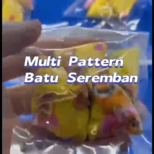 BATU SEREMBAN 5 STONES CHILDREN GAMES