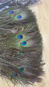 5pcs Peacock Feathers Peacock Feather Bulu Burung Merak Dekorasi Foto 25-30cm
