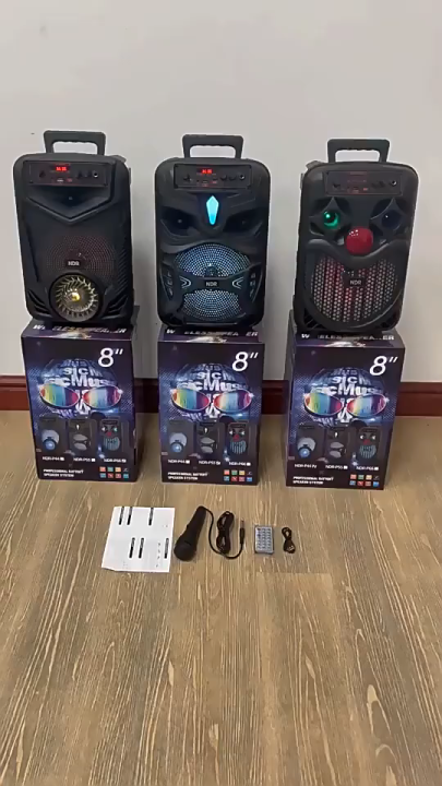 Portable 8 "Bluetooth speaker LED lights K song Karaoke Speakers ...