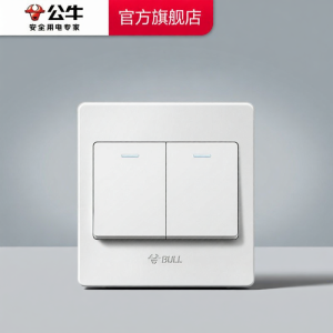 Bull | 2-Way Single Control Switch Panel White