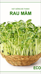 [EcoSeeds] Hạt Giống Rau Mầm Củ Cải Trắng - Hạt To Nảy Mầm Nhanh Xuất Xứ Ấn Độ - Đóng Gói Lẻ