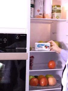 Anti Bau Lemari Es -  Penghilang Bau Kulkas 50gr