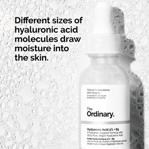 [THE ORDINARY] The Ordinary Hyaluronic Acid 2% + B5 30ML