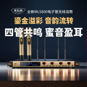 Wireless Electronic Tube Mic ML5800 Home K-Song Professional Family KTV One Drag Two Handheld Microphone with 3.5mm Interface